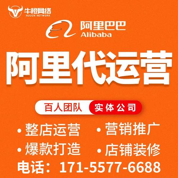 广安电商代运营