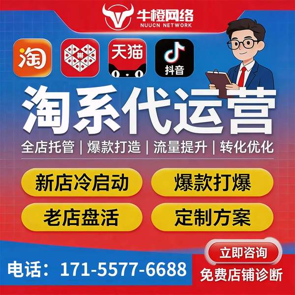 广安电商代运营