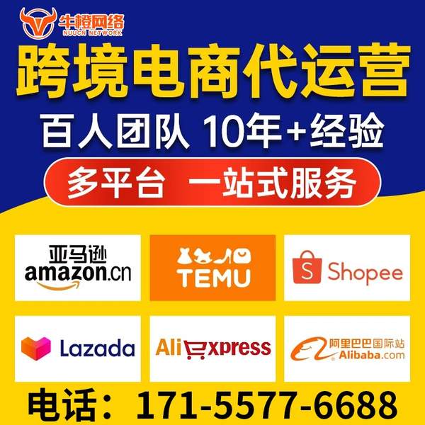 广安电商代运营