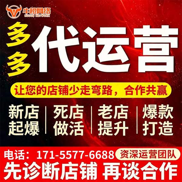 广安电商代运营