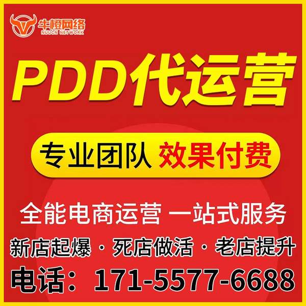 广安电商代运营