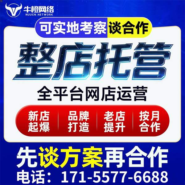 广安电商代运营
