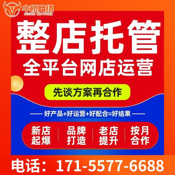广安电商代运营