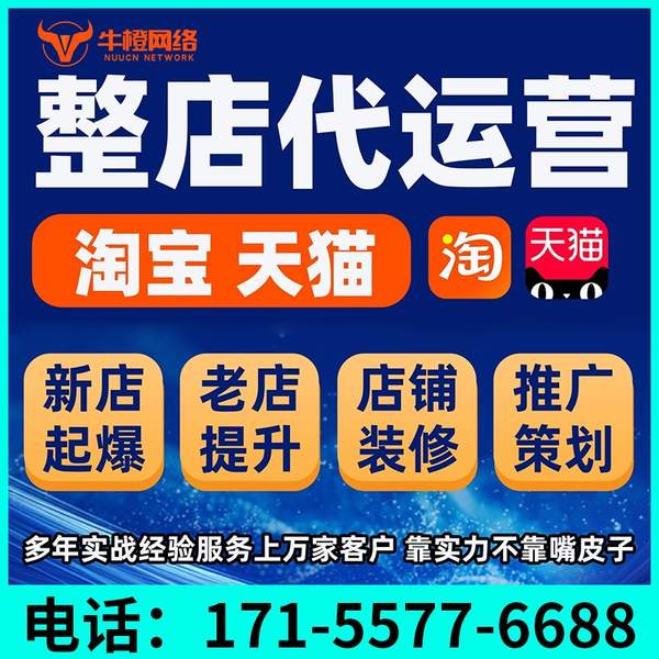 广安电商代运营