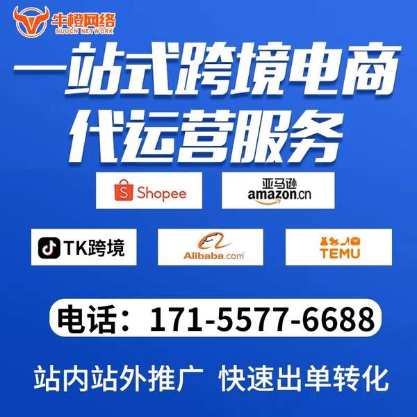 广安电商代运营