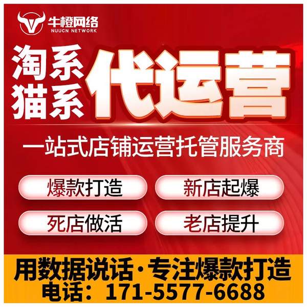 广安电商代运营